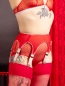 Preview: Burlesque Red Dot Mesh Garterbelt